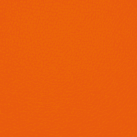 (1553) Orange Läderlook