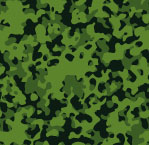 Camouflage - Skog