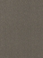 NE48 - Hard Copper