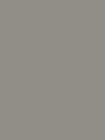 (2273) NE79 - Elephant Grey - (Matt)