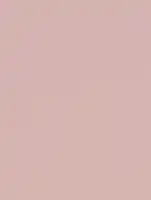 NF03 - Dusty Rose