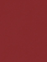 NF04 - Bordeaux Red