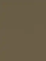 NK27 - Suede Gold