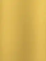 NL2 - Mirror Gold