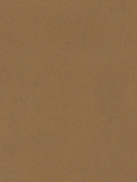 NL20 - Camel