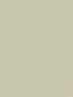 (2613) NL24 - Herringbone Beige - (Matt)