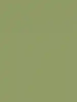 RM19 - Olive