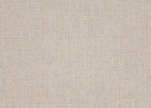 Beige Canvas - DFT3